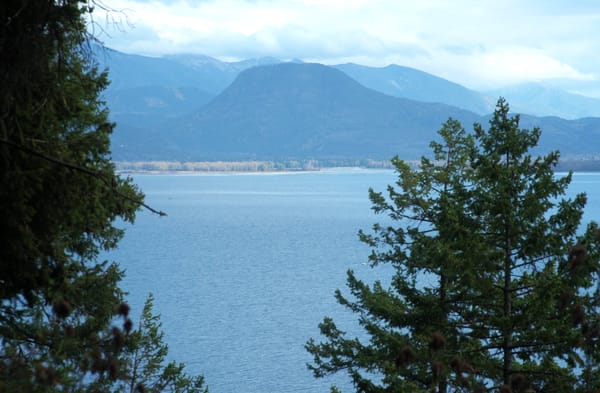 Mineral Point and Larches