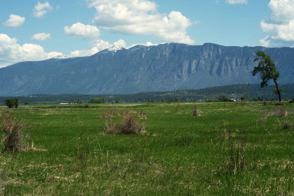 Smith Creek Thoughts
