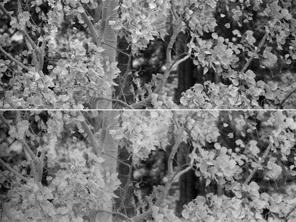 Film from Digital (Part 4 Bayeaux Results)
