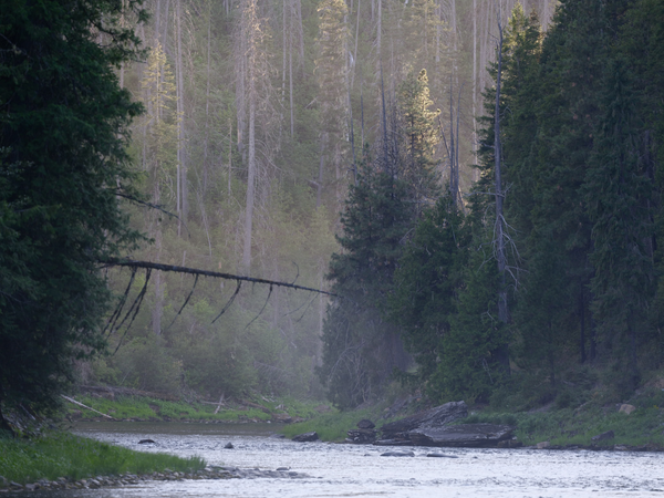 Selway River Pt 2