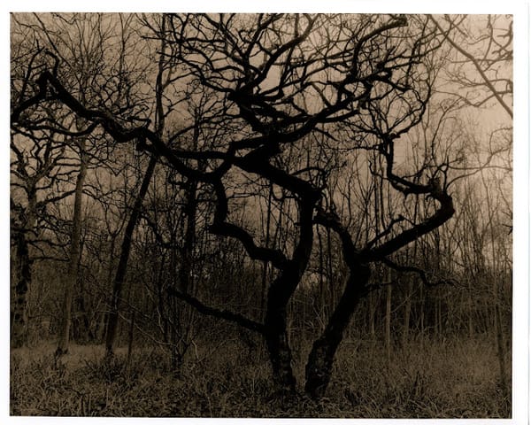 2023 First Darkroom Work (Part 1)