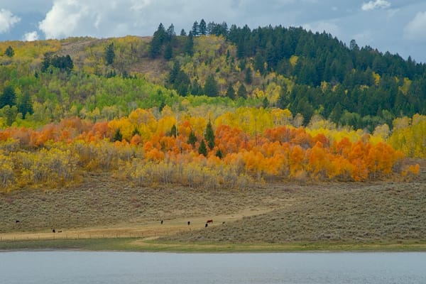 Conversation with Rod