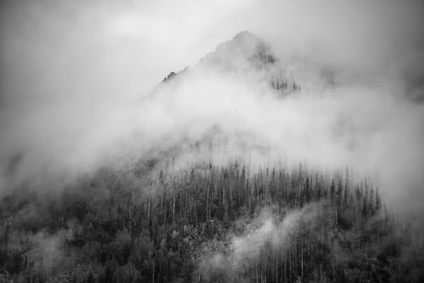 Editing Black and White with DxO Photolab