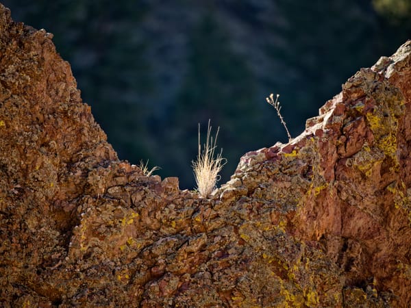 The Long Lens Vision